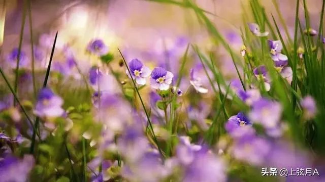 明天立春,你知道立春有哪些忌讳吗?