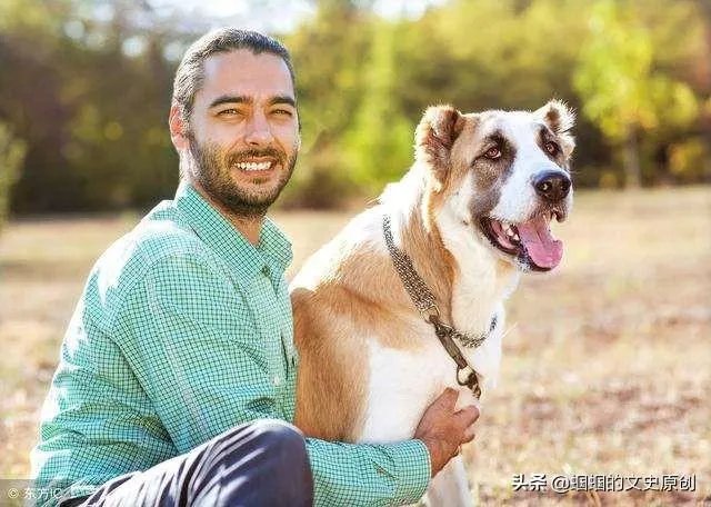 女子路边树上拴狗没让儿童靠近,老人骑车猛撞狗主人,你怎么看?