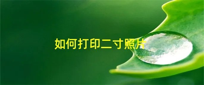 如何打印二寸照片