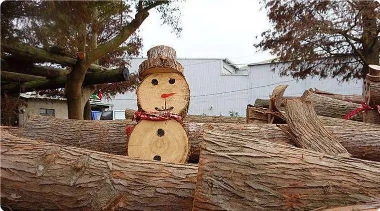 世界上最硬的10种木材你知道几种?