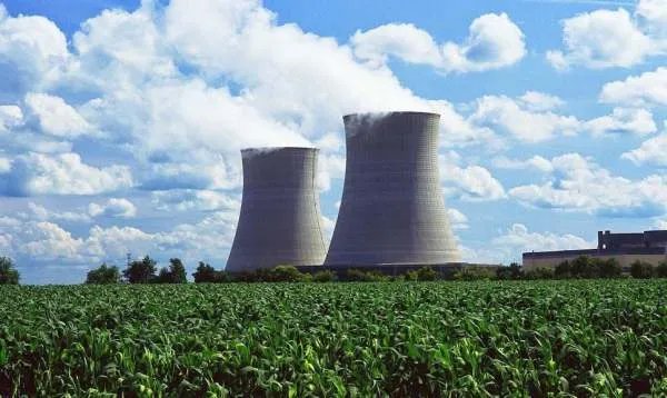 核辐射有多可怕？日本辐射后的蔬菜水果长什么样？