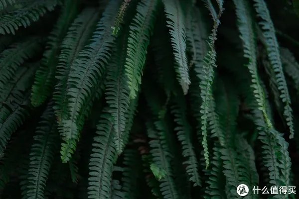 a6400开箱与三天使用体验 「多图预警!」