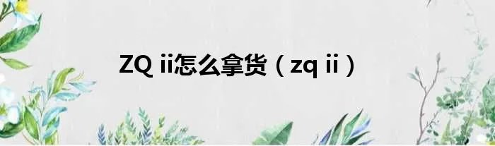 ZQ ii怎么拿货（zq ii）