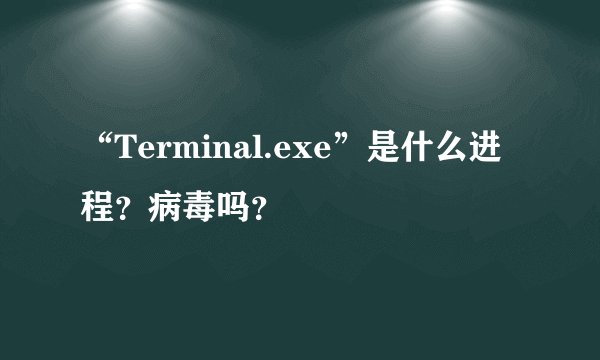 “Terminal.exe”是什么进程？病毒吗？