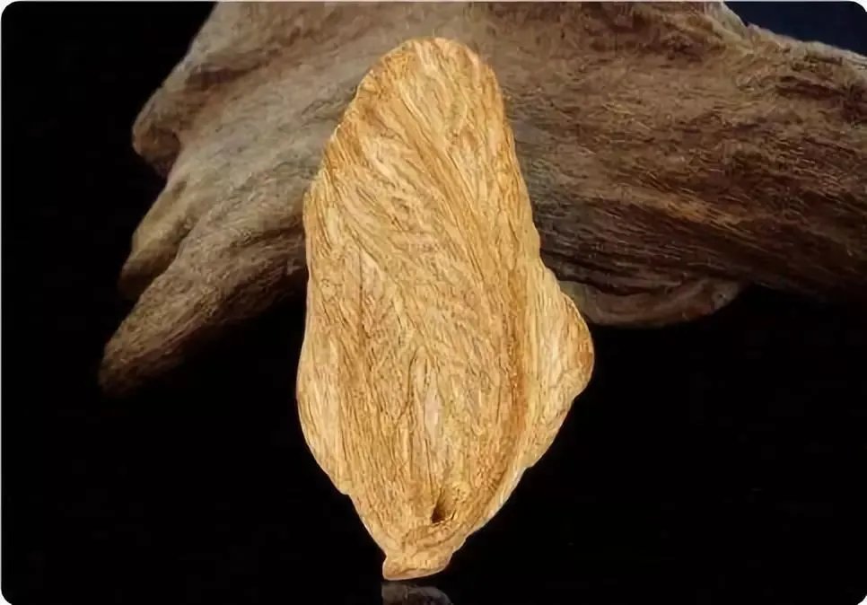 世界上最硬的10种木材你知道几种?