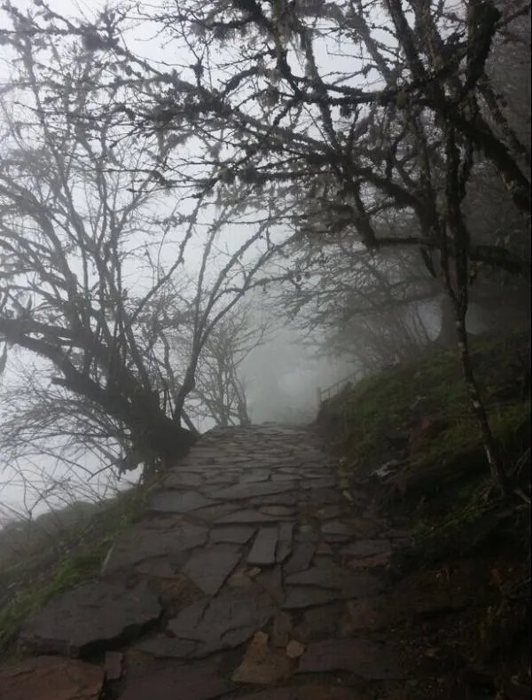 成都到木格措-新都桥-海螺沟三天怎么安排路线？具体怎么坐车/车费/时间？