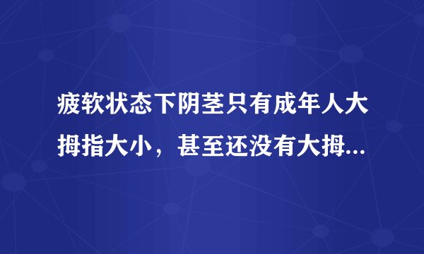 疲软状态下阴茎只有成年人大拇指大小，甚至还没有大拇...