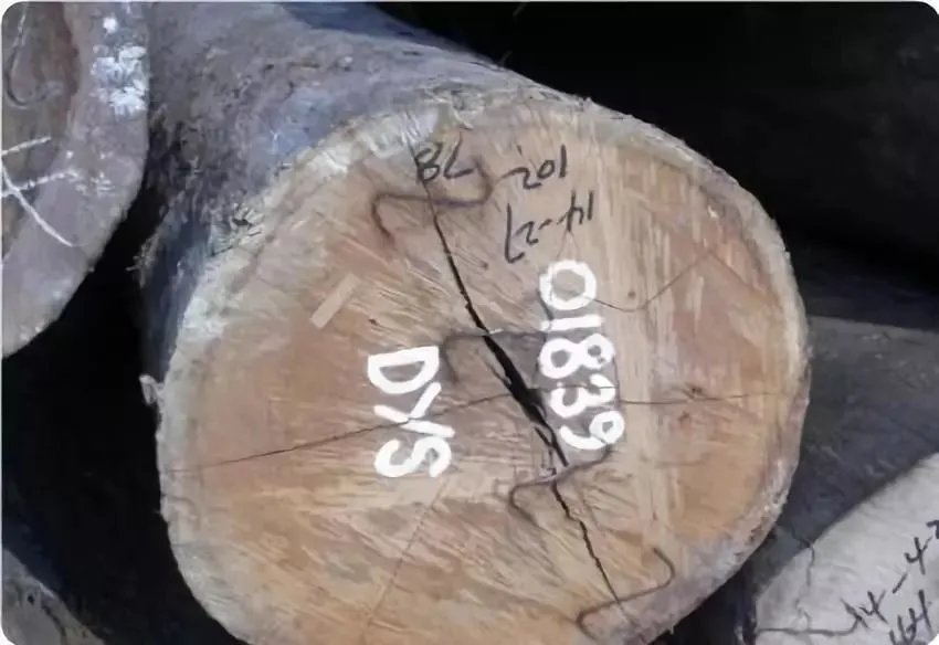 世界上最硬的10种木材你知道几种?