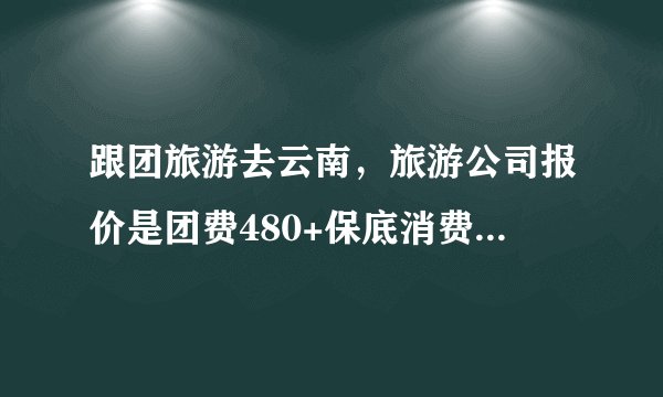 跟团旅游去云南，旅游公司报价是团费480+保底消费700多，加起来1千2百多，讲价下来1100，