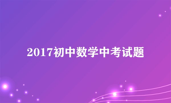 2017初中数学中考试题