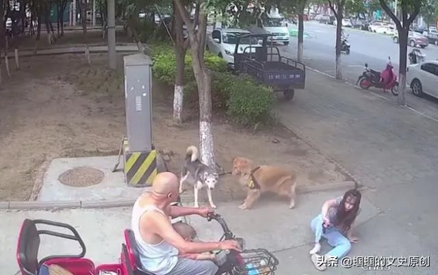 女子路边树上拴狗没让儿童靠近,老人骑车猛撞狗主人,你怎么看?
