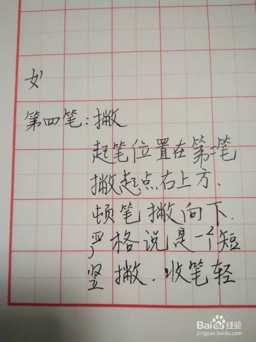 姓的笔顺和书写规范