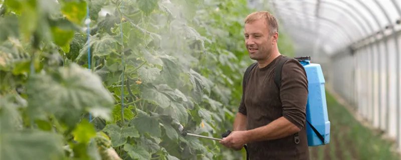 钾肥有哪些 钾肥有哪些种类