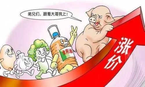 物价上涨对日常生活的影响