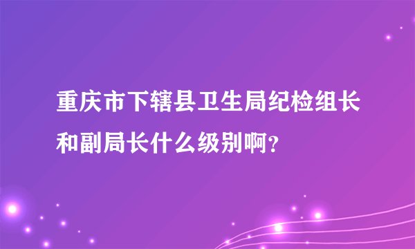 重庆市下辖县卫生局纪检组长和副局长什么级别啊？