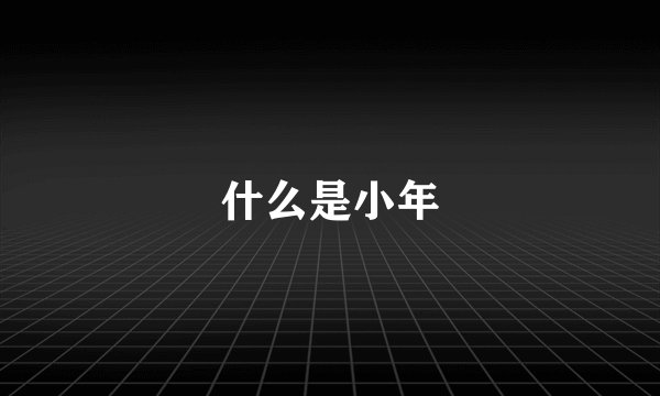 什么是小年