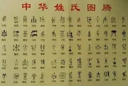 29个稀有的姓是？