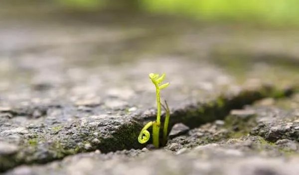 被查酒驾跳河身亡,这种行为是不是太偏激了?