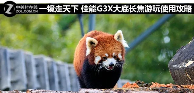 一镜走天下 佳能G3X大底长焦游玩使用攻略