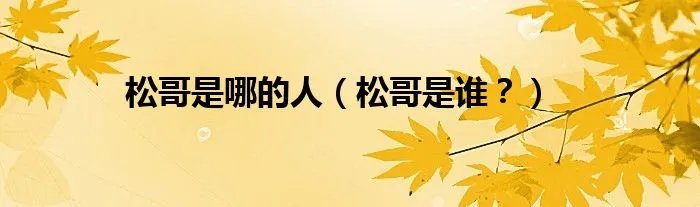 松哥是哪的人（松哥是谁？）