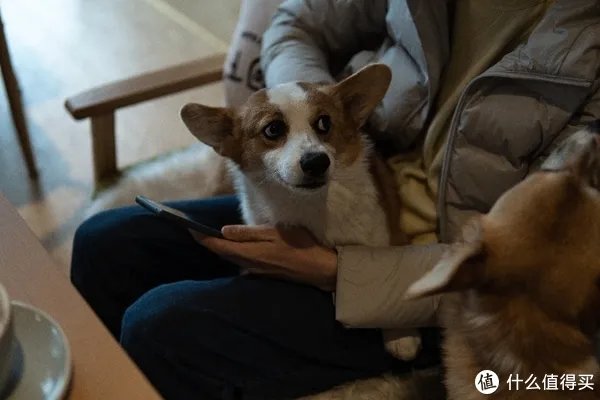 a6400开箱与三天使用体验 「多图预警!」