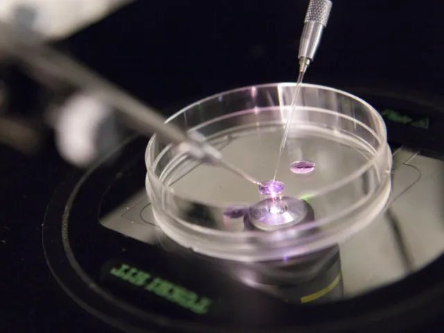 试管移植冻胚一次成功经验分享，重点还是心态好！