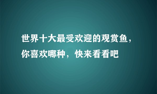 世界十大最受欢迎的观赏鱼，你喜欢哪种，快来看看吧