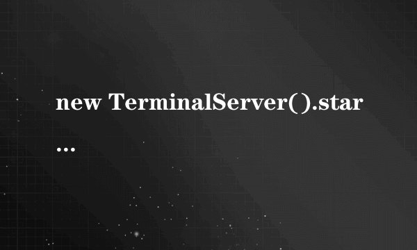 new TerminalServer().start(); 比如我这个线程 怎么用呢