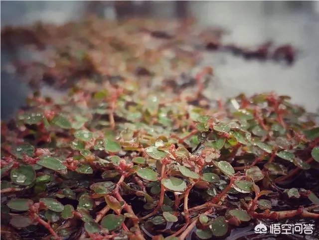 阴雨天如何拍出好照片?