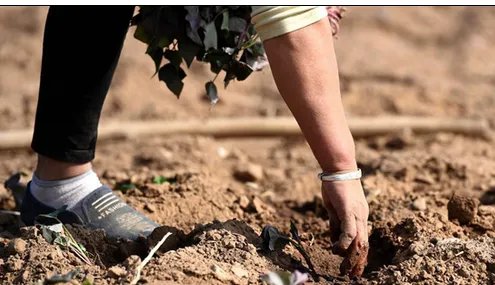 辽宁干旱农田缺墒是怎么回事？