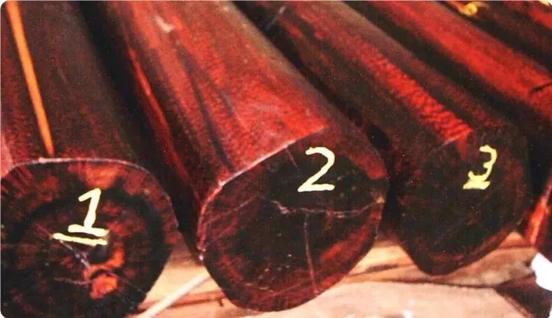 世界上最硬的10种木材你知道几种?