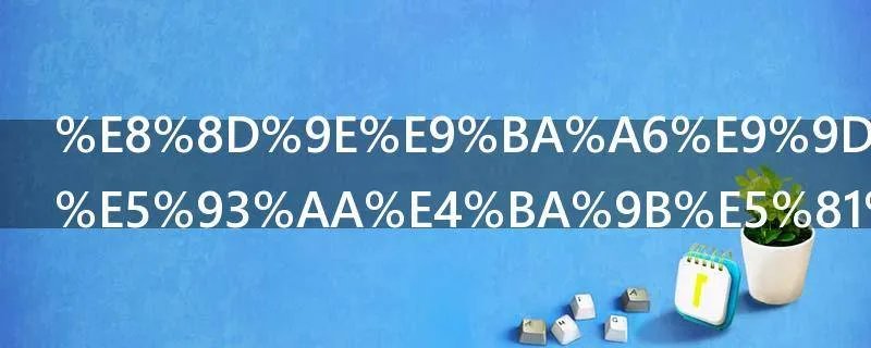 荞麦面粉有哪些做法