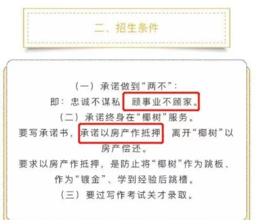 关于椰树集团的招聘信息，椰树集团是如何致歉的？