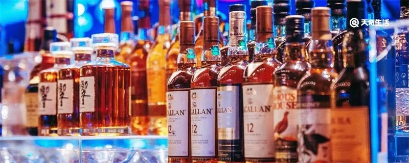 小鸟伏特加什么意思