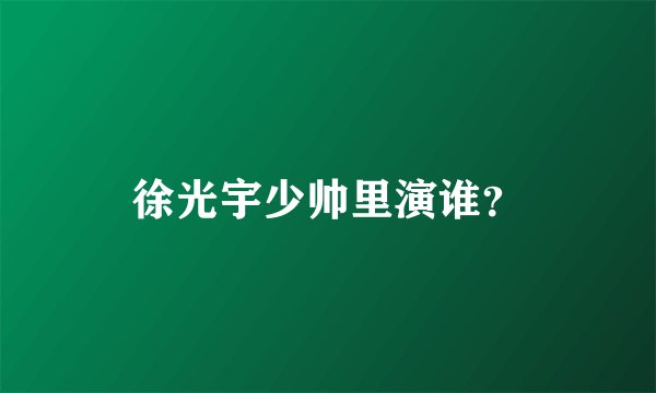徐光宇少帅里演谁？