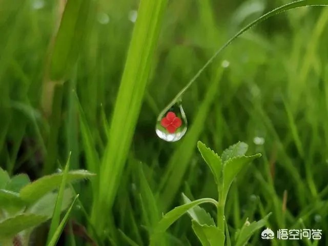 阴雨天如何拍出好照片?