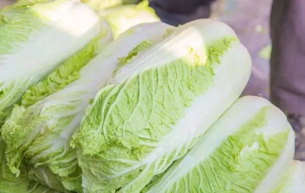 韩国的一棵白菜卖近25元，你如何看待这件事？