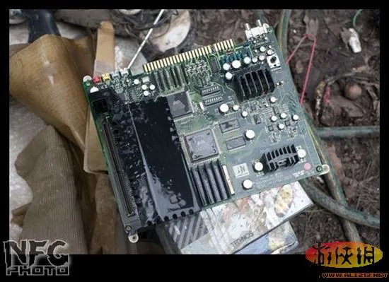 百年洪水来袭 澳洲玩家藏品惨遭洪水蹂躏(图)