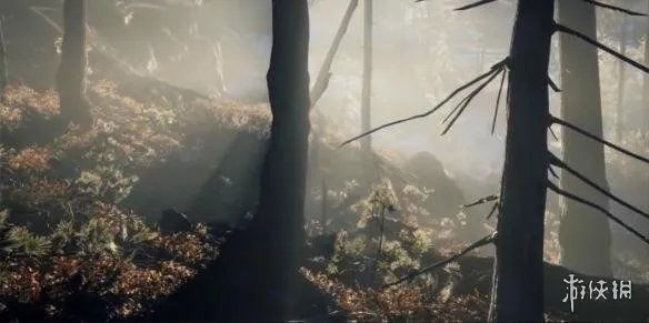 新狩猎体验《猎人:野性的呼唤》2019版已登陆Steam