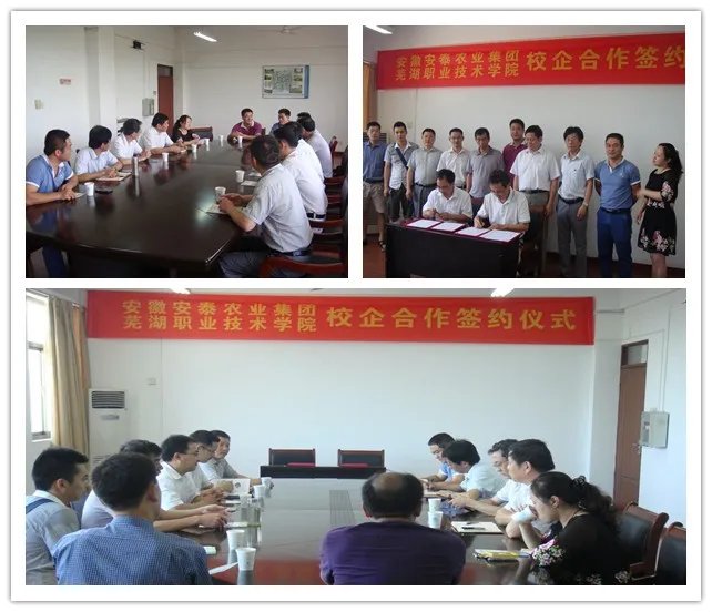 安徽安泰农业集团的介绍