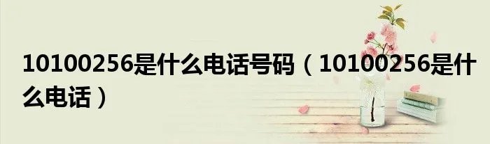 10100256是什么电话号码（10100256是什么电话）