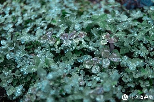 a6400开箱与三天使用体验 「多图预警!」