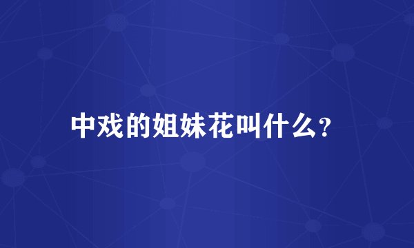 中戏的姐妹花叫什么？
