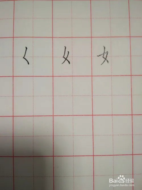 姓的笔顺和书写规范