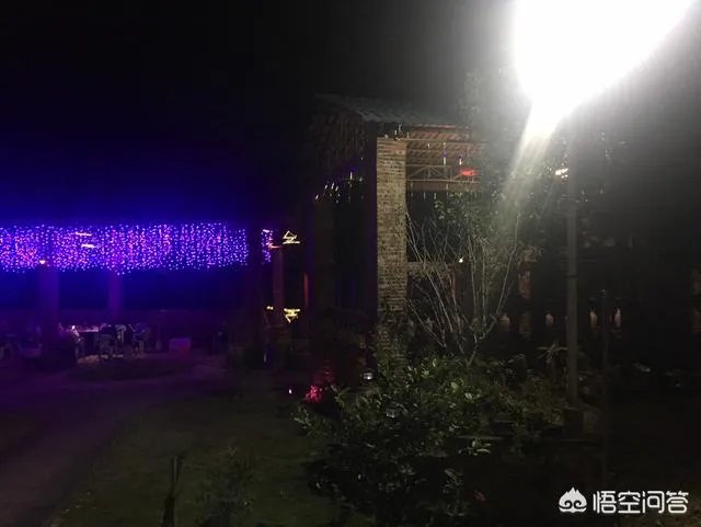 潮州广济桥被撞桥墩未受损,已恢复开放, 你怎么看?