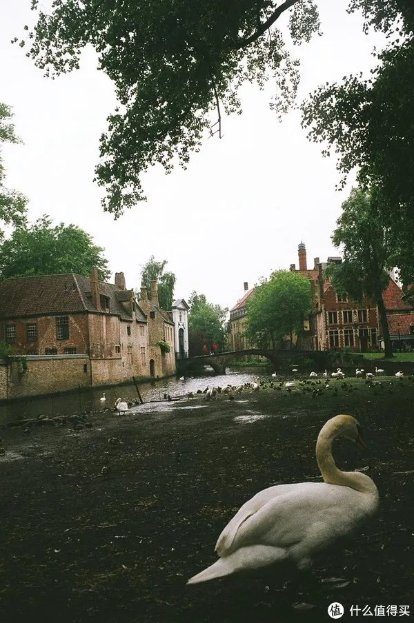 Contax G1 胶片相机:记录旅途的点点滴滴