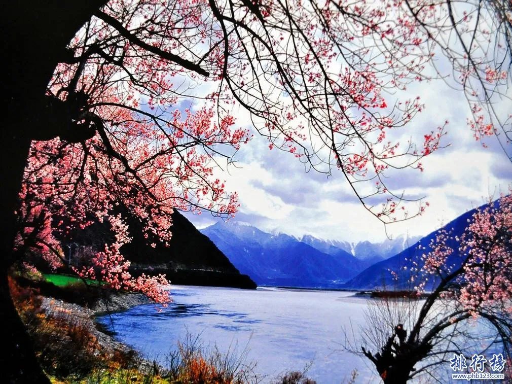 3月份适合去哪里旅游 3月份十大最佳旅游好去处