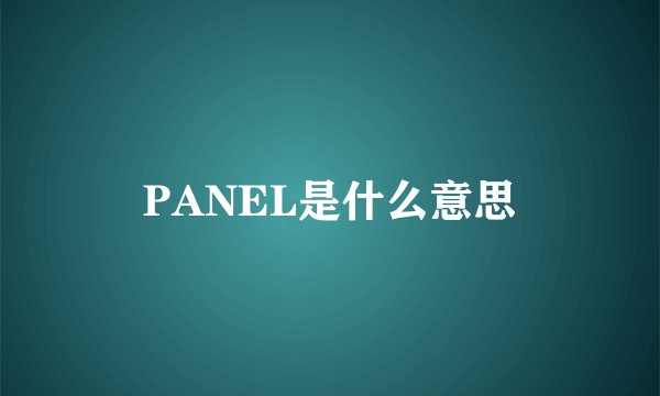 PANEL是什么意思