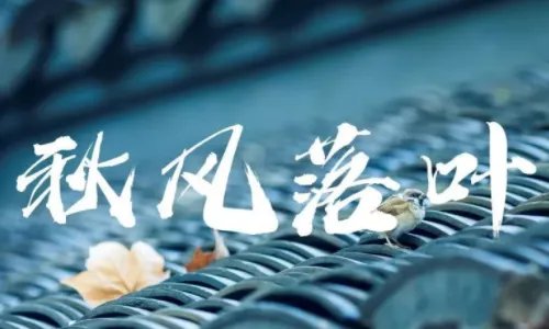 好看的字体有哪些?