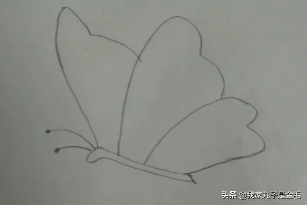 蝴蝶简笔画怎么画?